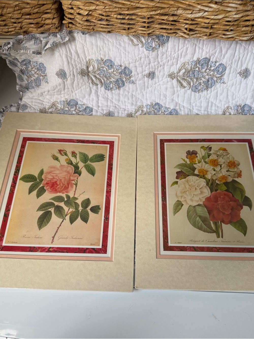 Vintage Botanical Rose Print Pair - Cream & Red Floral Art